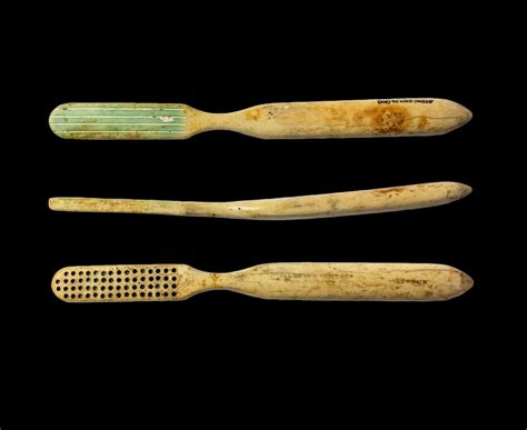 medieval toothbrush